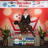  - Winner Benelux